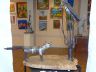 DSC00337.jpg