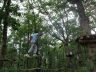 tarzan-44.jpg