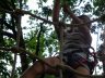 tarzan-64.jpg