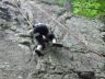 DSC01282.jpg